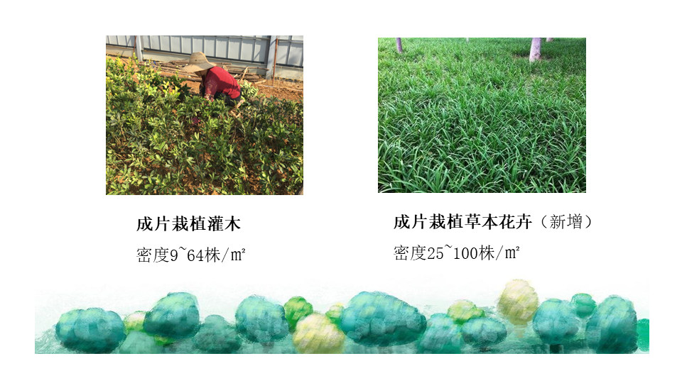 園林交底學習 (23).jpg