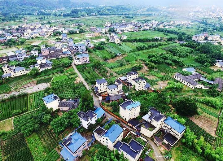 自然資源部解答：一戶多宅、超面積、非集體成員取得宅基地等確權(quán)問題